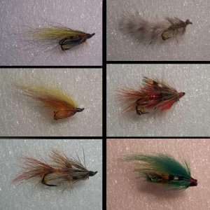 Fliegen 1  6