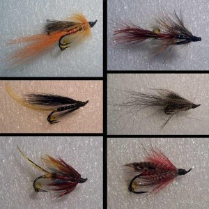 Fliegen 13   18