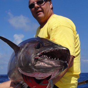 Dogtoothtuna