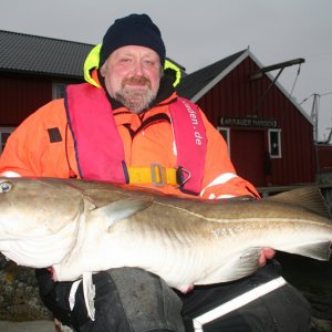 Ossi 52 Dorsch