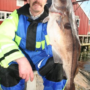Siegerfisch