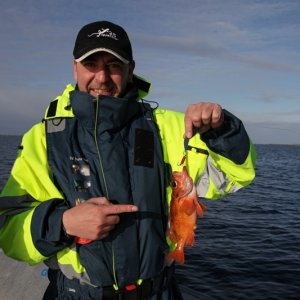 Heiko1