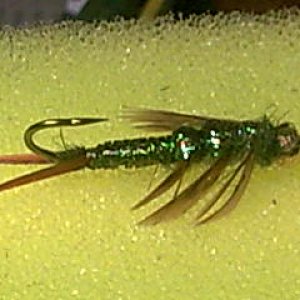 Steinfliegennympfe Upside douwn gebunden