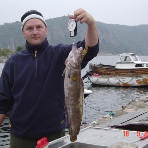 5040.jpg