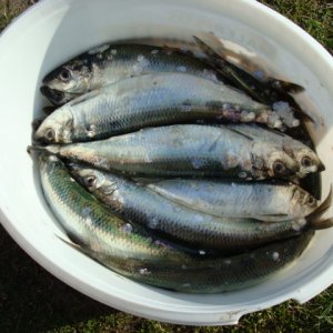 schönes Abendbrot