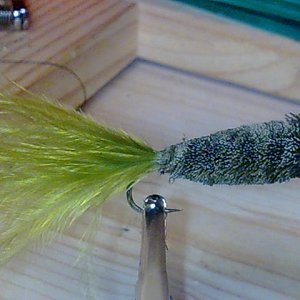 Rehhaarfischchen 
Haken TMC #6 in 6xl