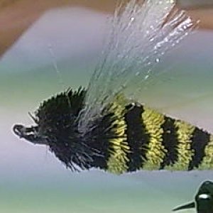 Hornisse
Haken Mustad classic #6