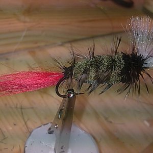 Lachstrockenfliege 
Haken Mustad Classic größe 4