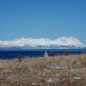DSC 0285
