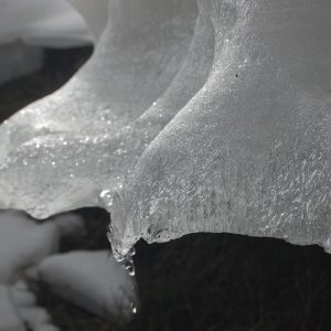DSC 0336