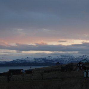DSC 0371