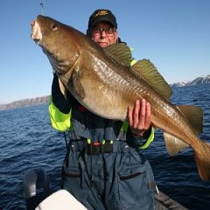 k Gjesvaer 05.2010 021