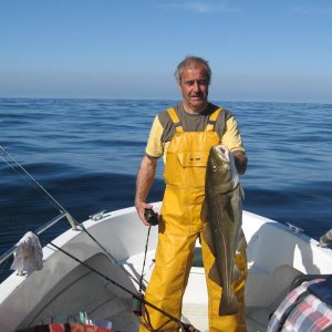 Dorsch 6 KG