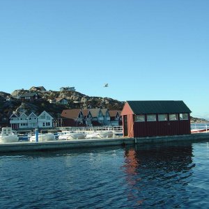 Schlachthaus auf der Pier