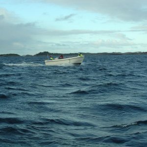 Auch bei starken Wind sind die Toias Boote sehr kippstabil