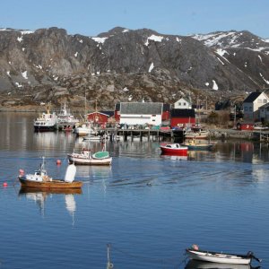 Gjesvaer 05.10 047
