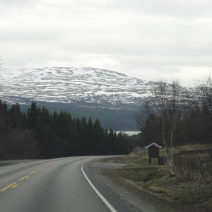 DSC00200