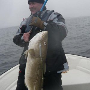 Mein erster Meterfisch !!!!
Ein Dorsch von 1,11m und 12,5 kg gefangen in Flatanger Norwegen 04,2010