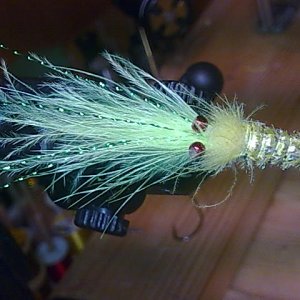 Draufsicht Shrimp