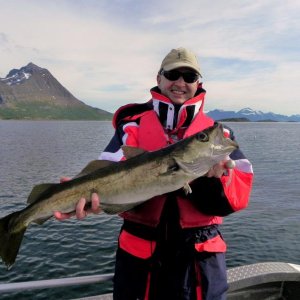 2010 06 09 Arnoy Brygge 113 (2)