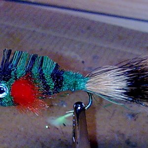 Rehhaarbarsch
Deerhair