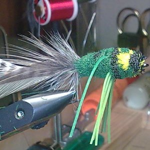 Bild001 (5)