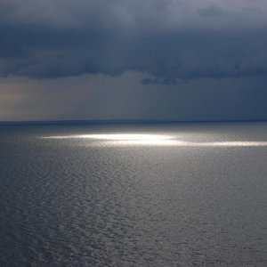 DSC 0083
