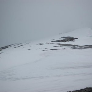 DSC 0149