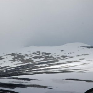 DSC 0177