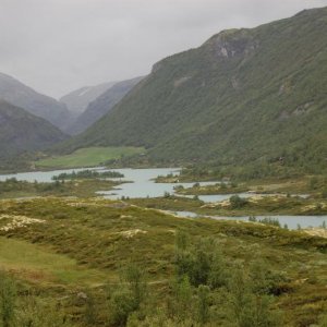 DSC 0333