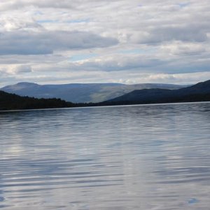 DSC 0611