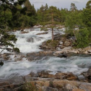 Immer gerne genommen
-Nördliche Anfahrt zum Saltfjell-