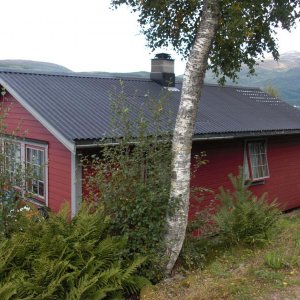 CIMG2718