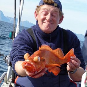 gelungener Schnappschuss