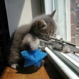 sniper