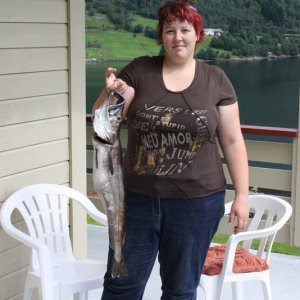 Seehechte gibt es hier auch