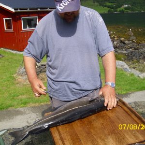 filetieren, filetieren ...