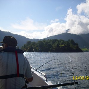 die Insel im Fjord
