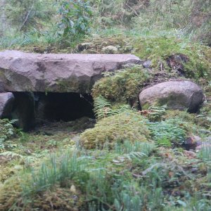DSC 0095