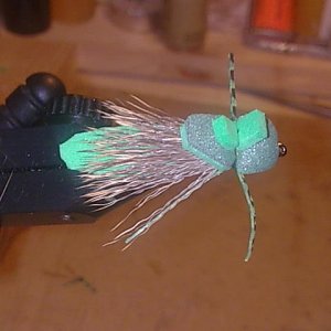 Bild098 (4)