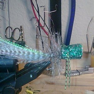 Bild100 (3)