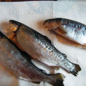 2herausnehmen
