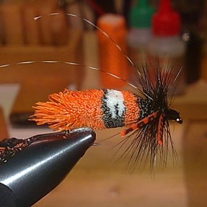 Funny Fly Sedge