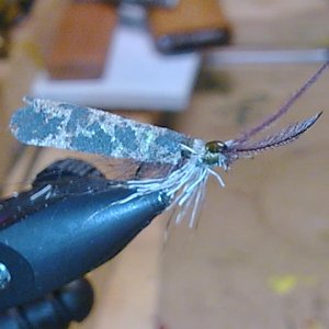 Foam Body Sedge