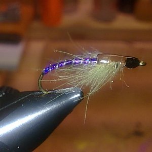 Stoneflynympf
