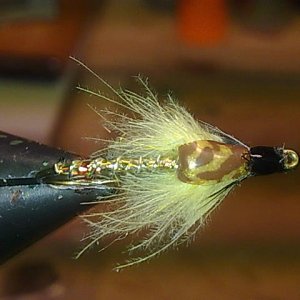 Stoneflynympfe