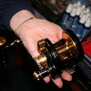 IMG 0299