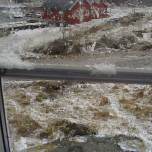 Hagel1