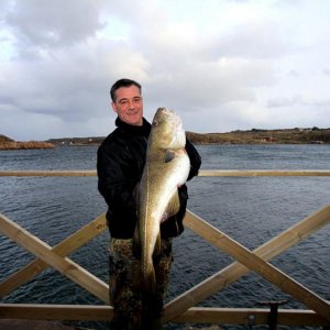 Dorsch 9,1 Kg