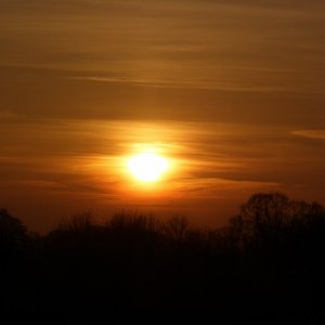 Spazieren mit Schatzi (34) 800x600